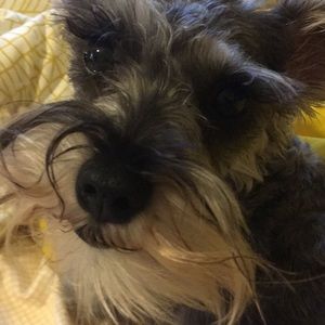 Meet your Posher, Catherine